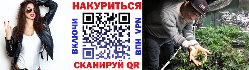 Купить  Яблоновский  Канабис планчик 